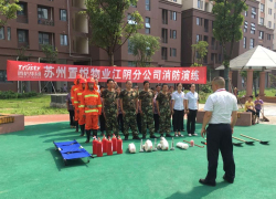 港澳宝奥苹果手机