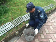 港澳宝奥苹果手机