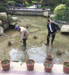 港澳宝奥苹果手机