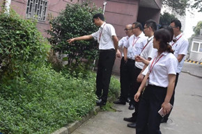 港澳宝奥苹果手机