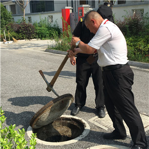 港澳宝奥苹果手机