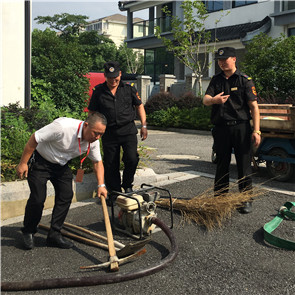 港澳宝奥苹果手机