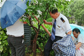 港澳宝奥苹果手机