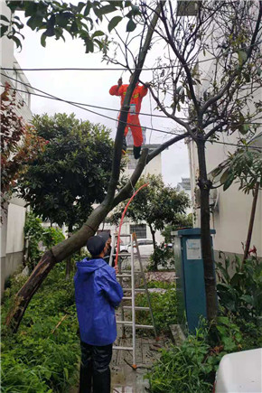 港澳宝奥苹果手机