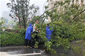 港澳宝奥苹果手机