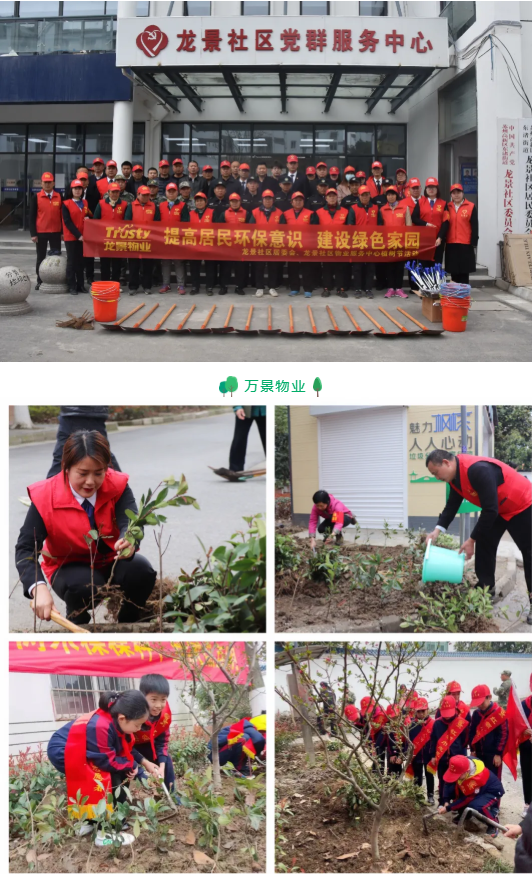 港澳宝奥苹果手机