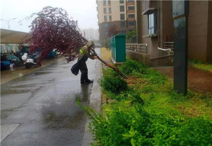 港澳宝奥苹果手机