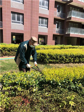 港澳宝奥苹果手机