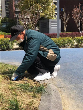 港澳宝奥苹果手机