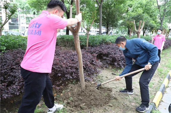 港澳宝奥苹果手机