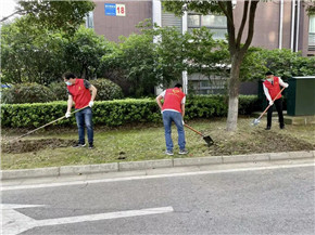 港澳宝奥苹果手机