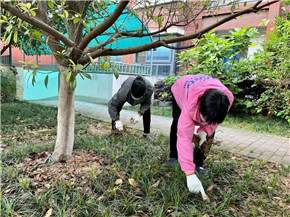 港澳宝奥苹果手机