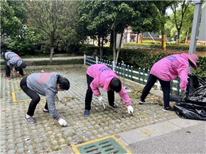 港澳宝奥苹果手机