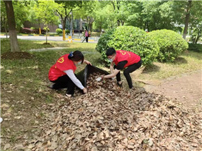 港澳宝奥苹果手机