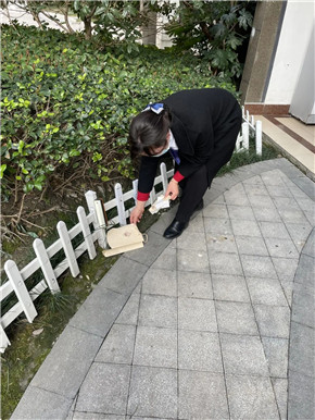 港澳宝奥苹果手机