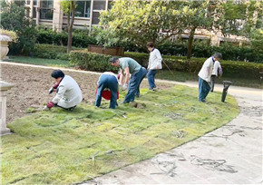 港澳宝奥苹果手机