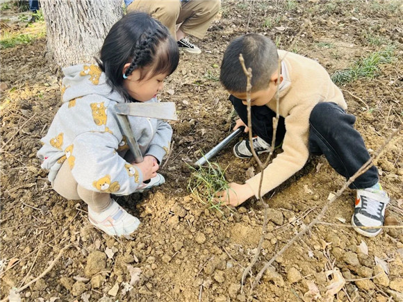 港澳宝奥苹果手机