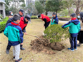 港澳宝奥苹果手机