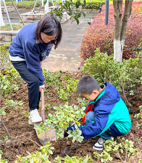 港澳宝奥苹果手机