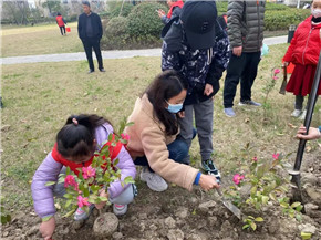 港澳宝奥苹果手机