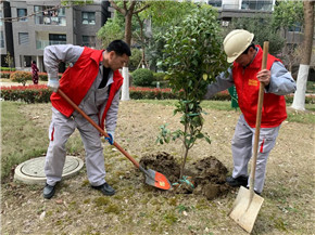 港澳宝奥苹果手机