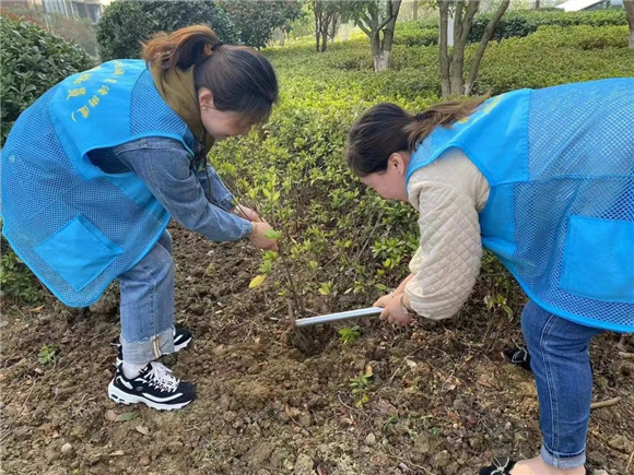 港澳宝奥苹果手机