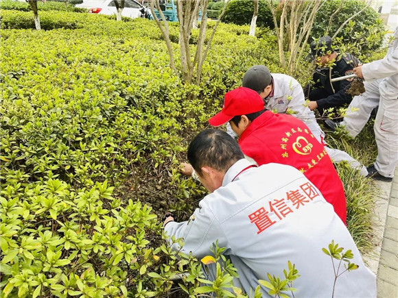 港澳宝奥苹果手机