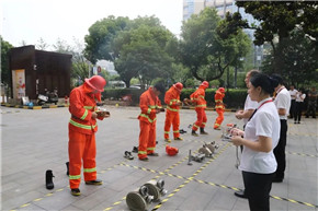 港澳宝奥苹果手机