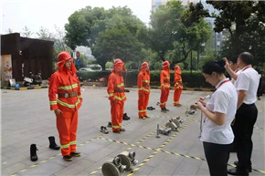 港澳宝奥苹果手机