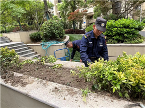 港澳宝奥苹果手机