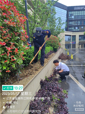 港澳宝奥苹果手机