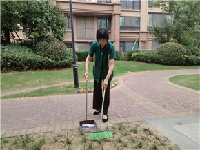 港澳宝奥苹果手机