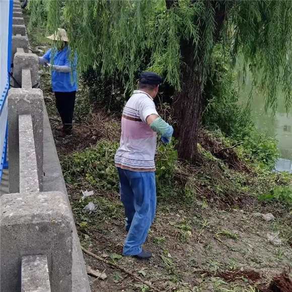 港澳宝奥苹果手机