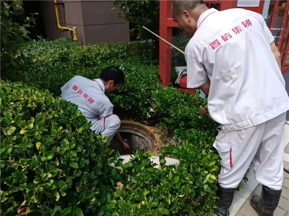 港澳宝奥苹果手机