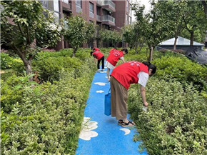 港澳宝奥苹果手机