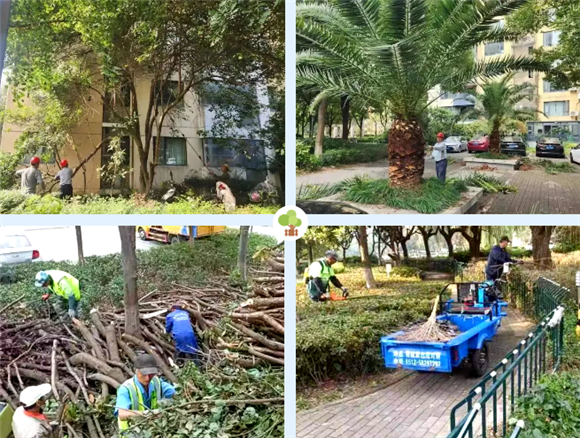 港澳宝奥苹果手机