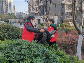 港澳宝奥苹果手机