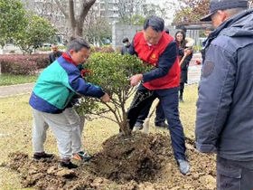 港澳宝奥苹果手机