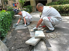 港澳宝奥苹果手机