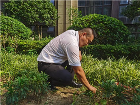 港澳宝奥苹果手机