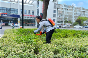 港澳宝奥苹果手机