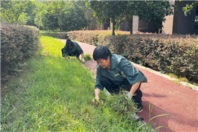 港澳宝奥苹果手机