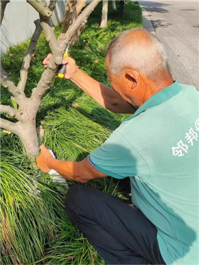 港澳宝奥苹果手机