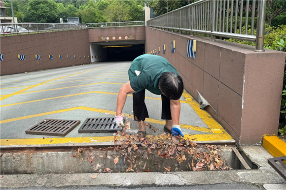 港澳宝奥苹果手机