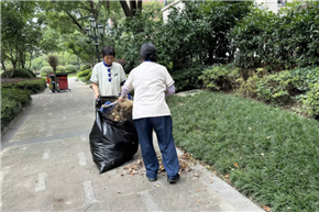 港澳宝奥苹果手机