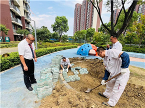 港澳宝奥苹果手机